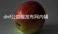 dnf公益服发布网内辅助（dnf公益服发布网服务器在哪买）