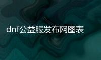 dnf公益服发布网图表（dnf100公益服发布网）